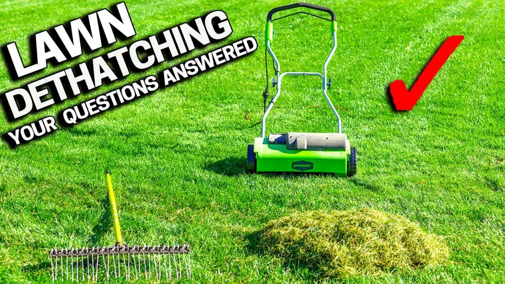 10 Pros and Cons of Dethatching Lawn - Refurbished Mag